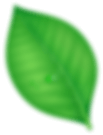Arkaplan şekli